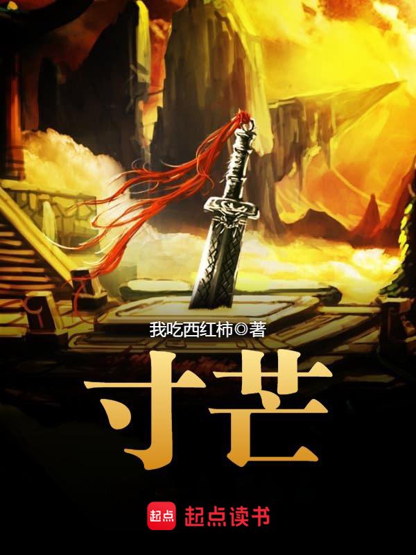 《寸芒 》封面