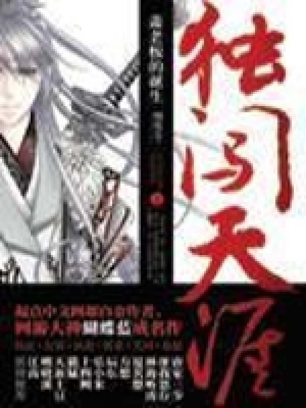 《独闯天涯》封面