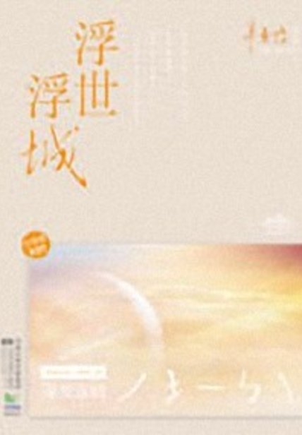 《浮世浮城》封面