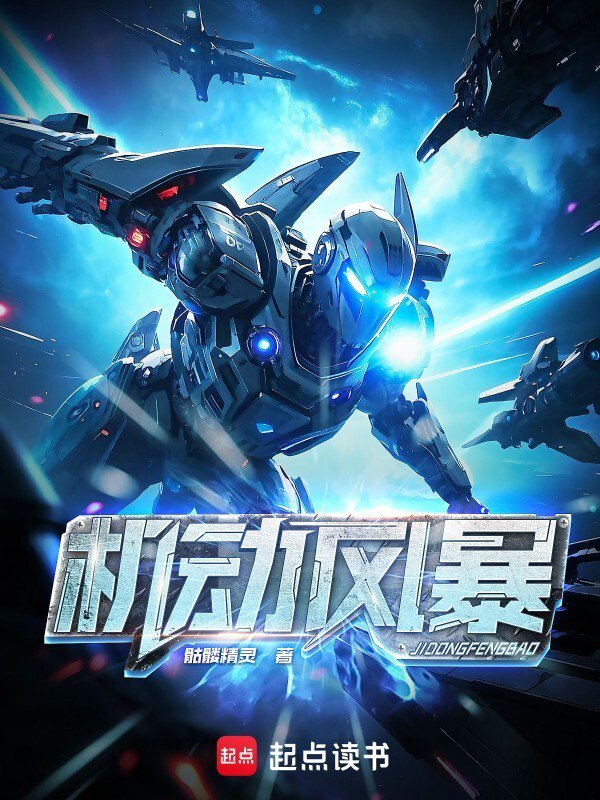 《机动风暴》封面