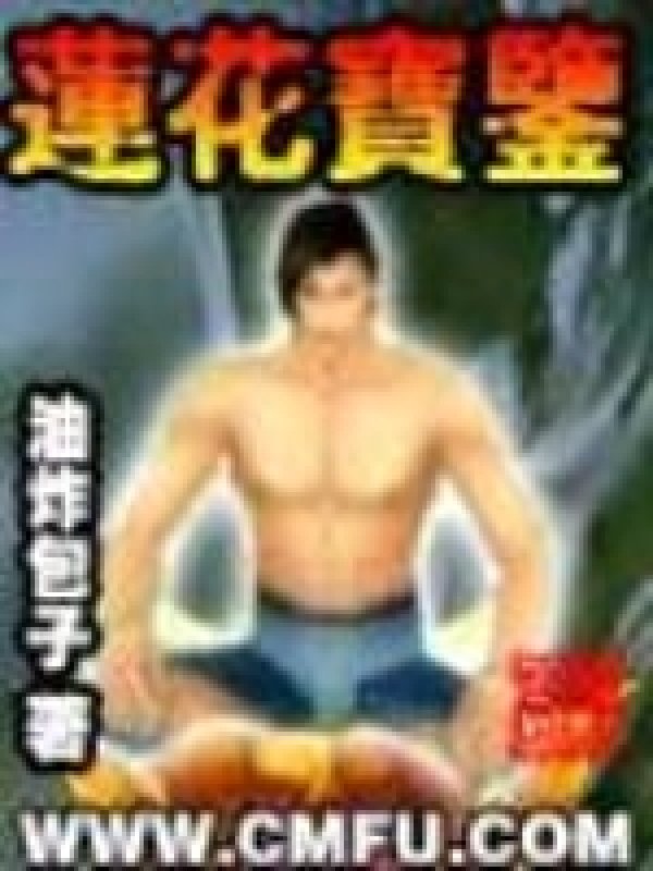 《莲花宝鉴》封面