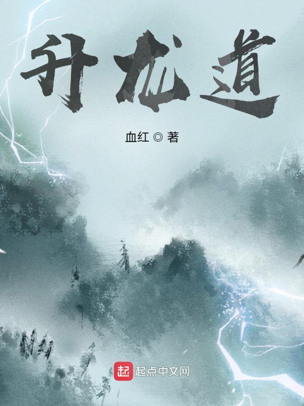 《升龙道》封面