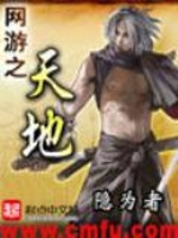 《网游之天地》封面