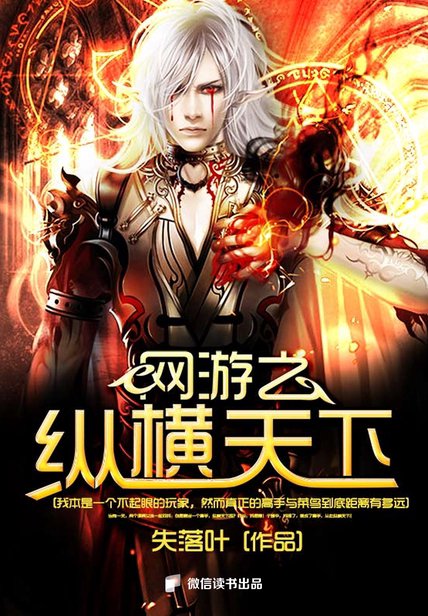 《网游之纵横天下》封面