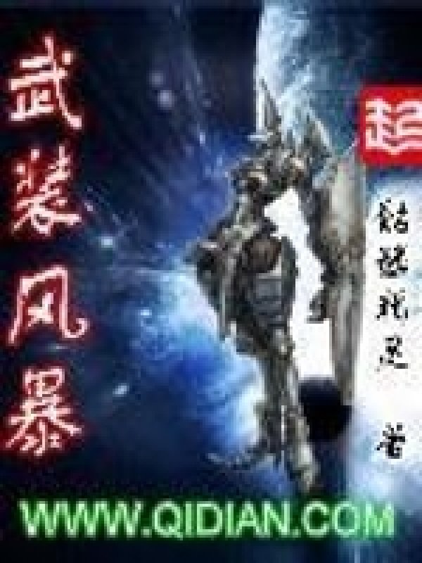 《武装风暴》封面