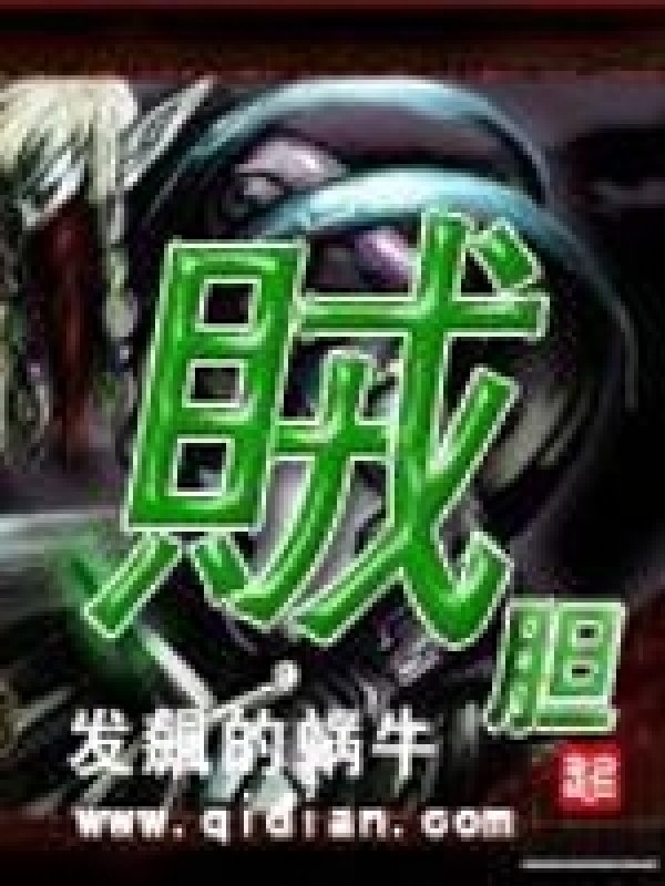 《贼胆》封面