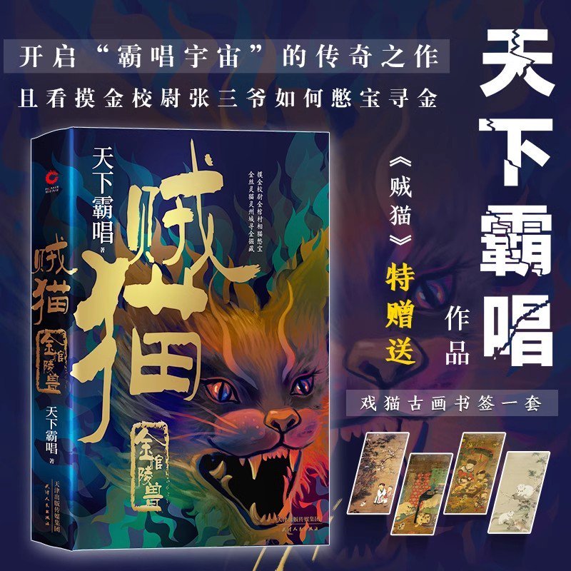 《贼猫》封面